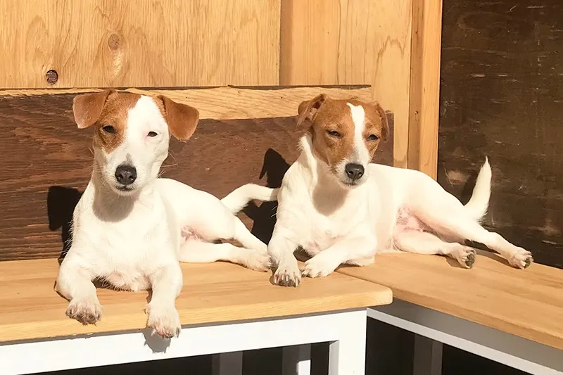 ルナちゃんとママのエルサちゃん