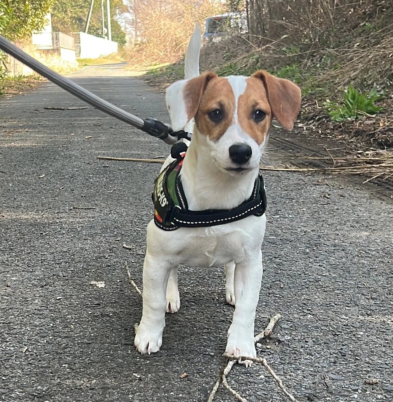 りあら六女ちゃん、2025年10月14日生まれ